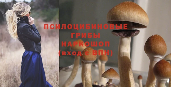 хмурый Няндома