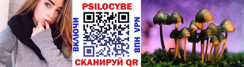 Псилоцибиновые грибы мицелий  Наволоки 