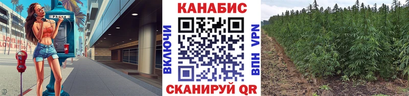 Шишки марихуана SATIVA & INDICA  Наволоки 